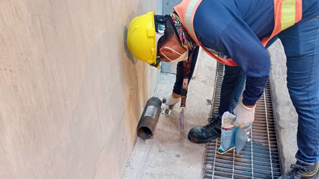 professional pest control company in the Philippines